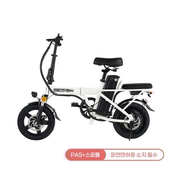 [레이윙] 디스커버리 F14E 전기자전거 18A (세이지그린)
