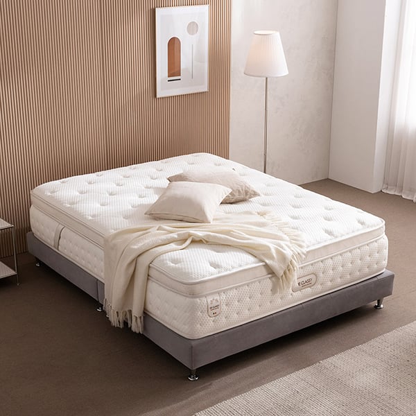 젠티스 헬렌 SS (36개월)