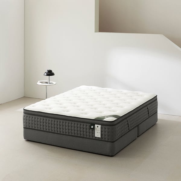 젠티스 오프모드 4 LK (36개월)