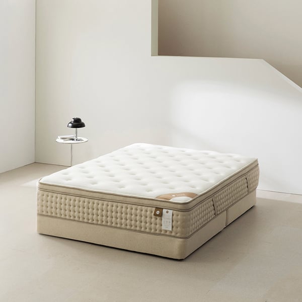 젠티스 오프모드 3 SS (36개월)