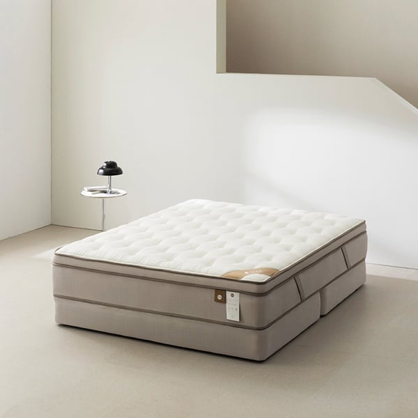 젠티스 오프모드 2 Q (36개월)