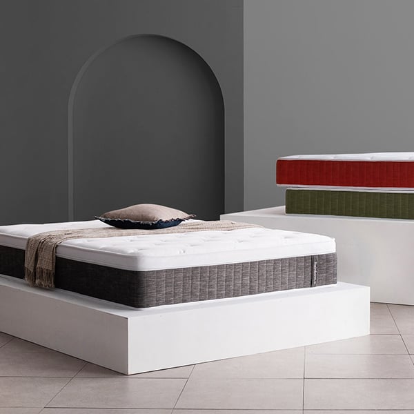 젠티스 레인보우 그레이 Q (36개월)