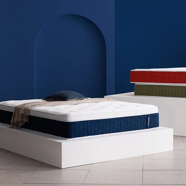 젠티스 레인보우 네이비 K (36개월)